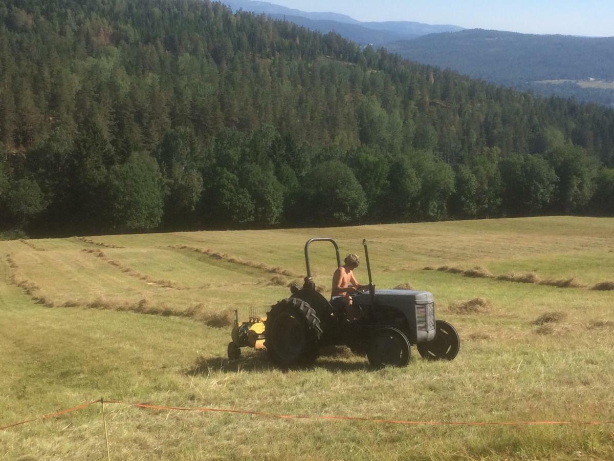 Tjonnas Farm Stay Sauland Buitenkant foto