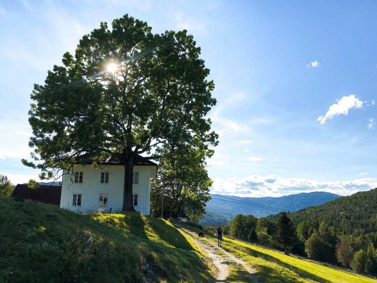 Tjonnas Farm Stay Sauland Buitenkant foto