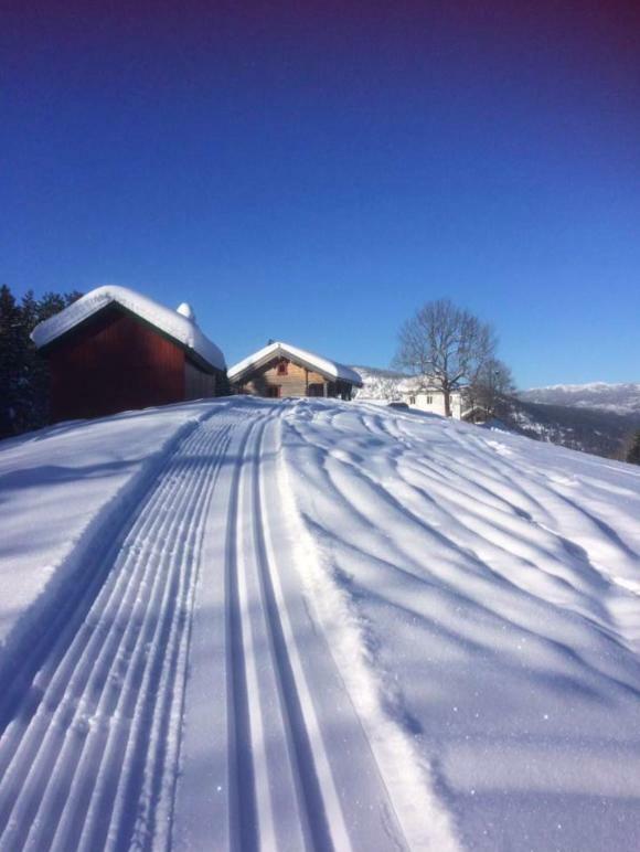 Tjonnas Farm Stay Sauland Buitenkant foto