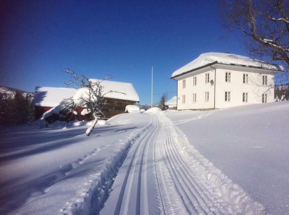 Tjonnas Farm Stay Sauland Buitenkant foto